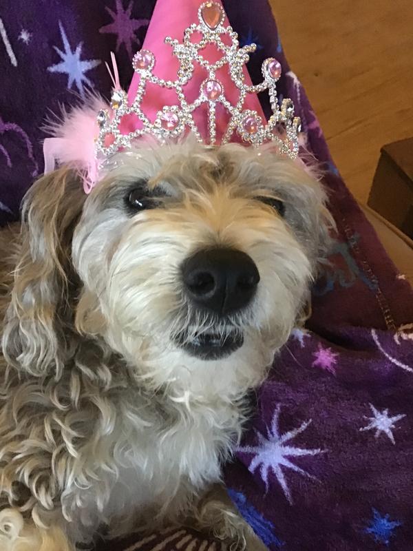 The Queen