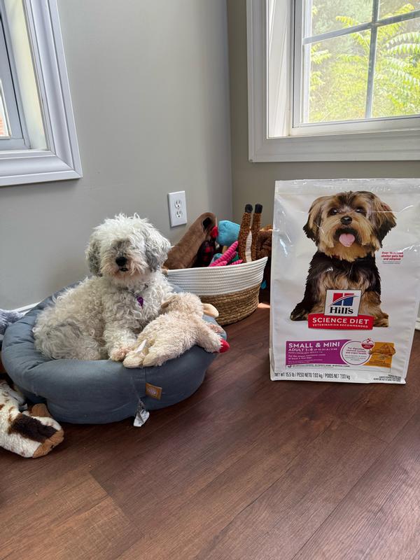 Pippin loved her Science Diet Canine Food!
