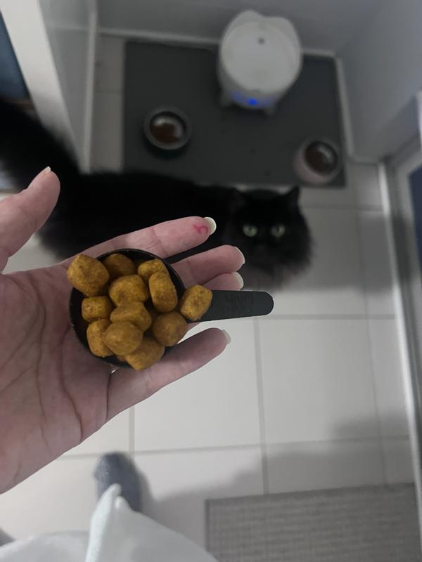 Biscuits