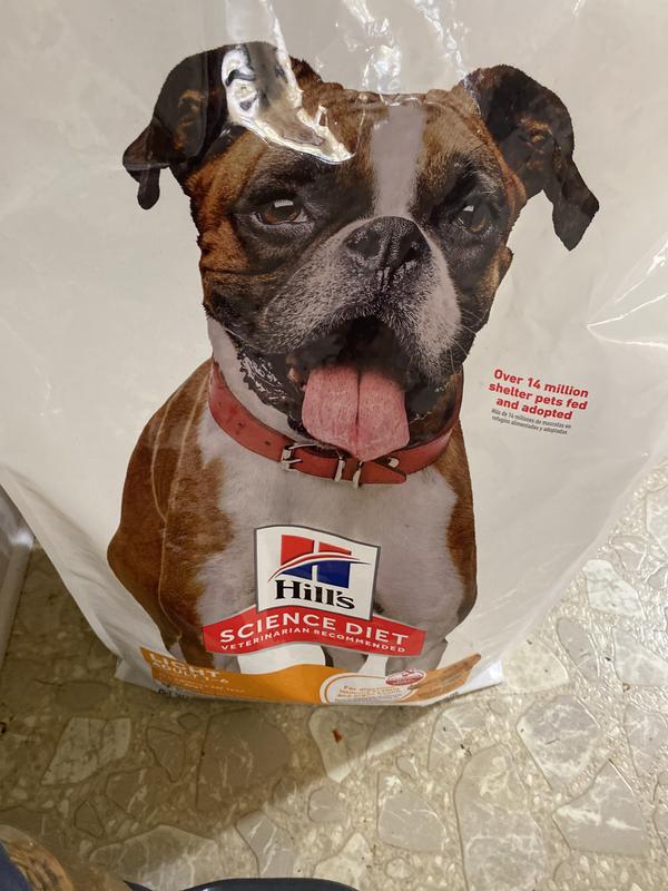 Dog food