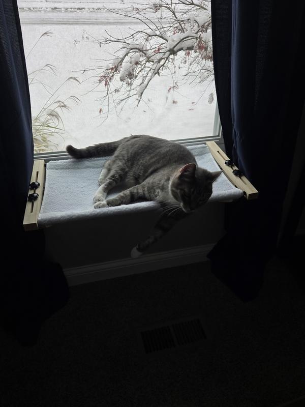 Same as previous ohoto.