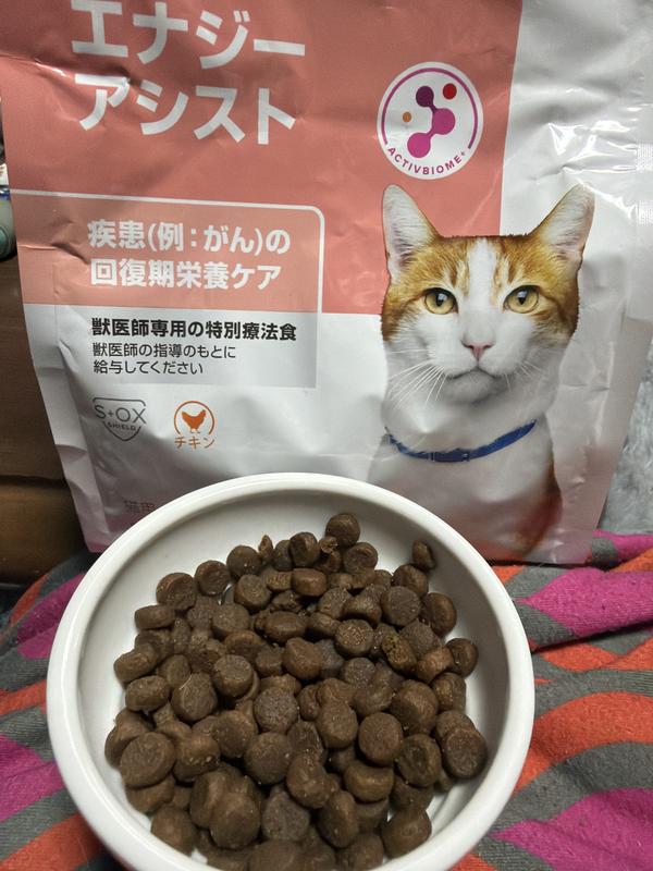 猫用〉エナジーアシスト | ヒルズ プリスクリプション・ダイエット