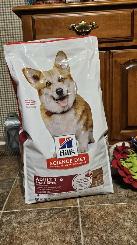 Food well sought after