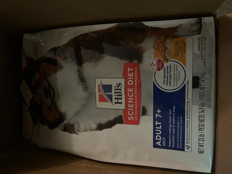 Great Choice for Senior Dogs