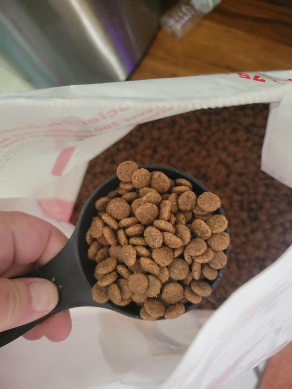 Small kibble for small mouths