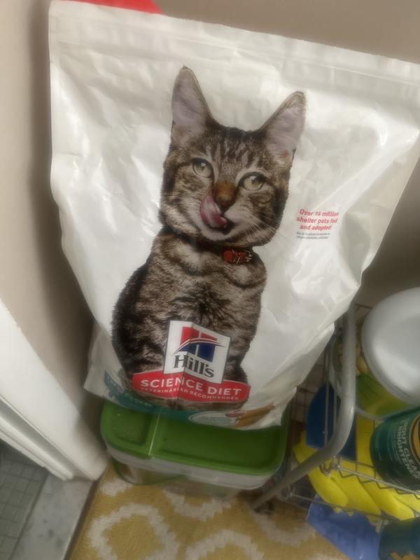 Kitty didn’t like the taste