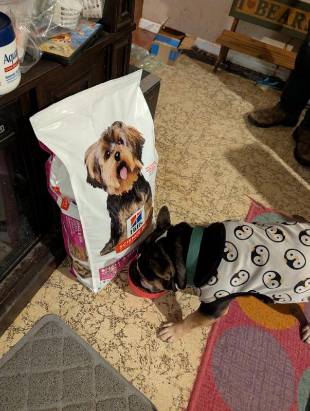 Couldn’t get his head out the bowl