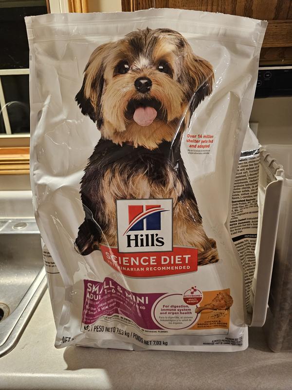 Dog food
