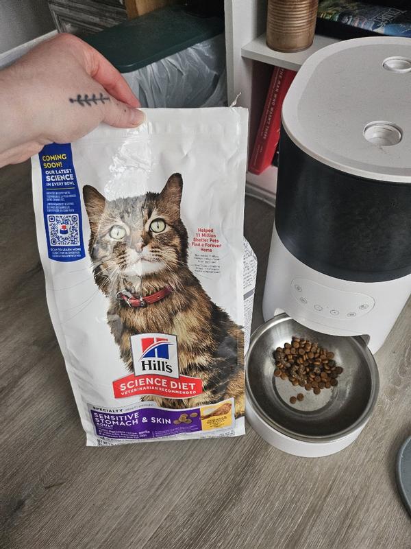 Cat food