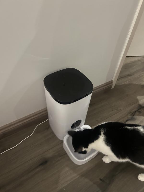 Henry enjoying his biccies!