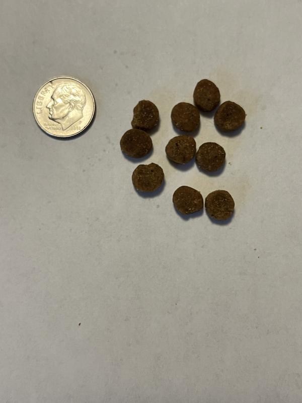Kibble size - dime for reference