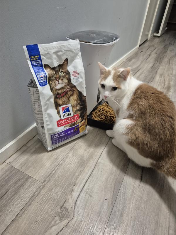 Shrimp trying his new dinner