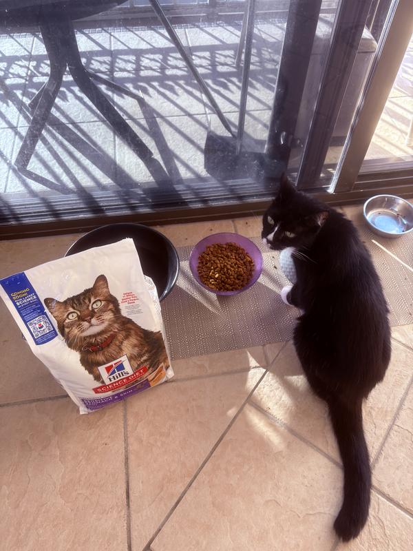 Tac loves his new biscuits!