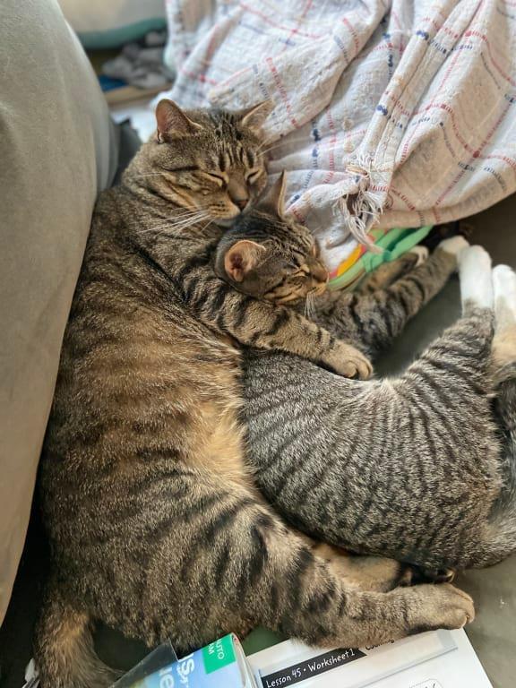 Cairo and Memphis