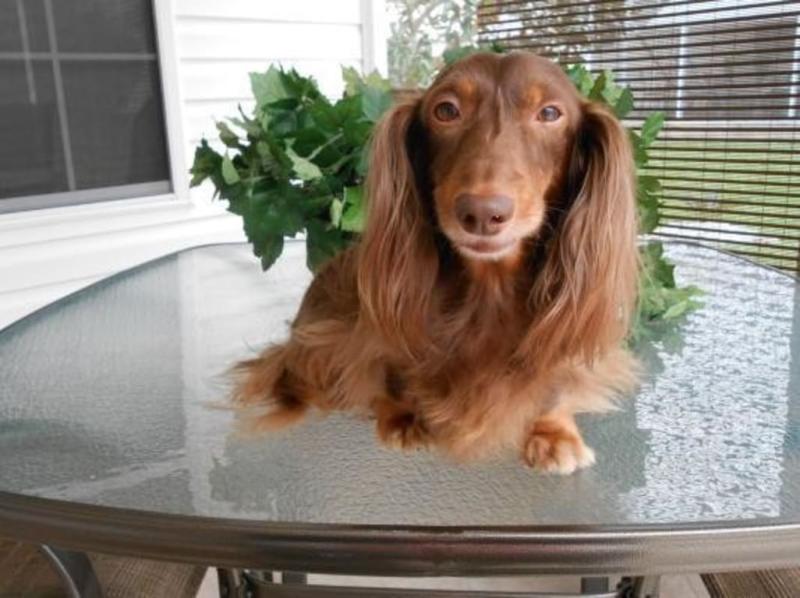 Rusty Relaxing