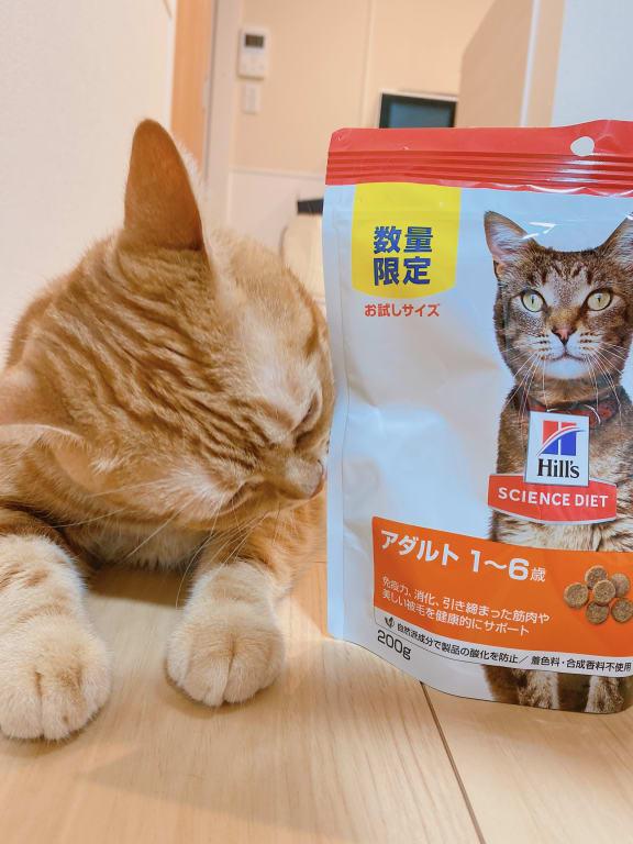 アダルト 1~6歳 成猫用 チキン | ヒルズ サイエンス・ダイエット