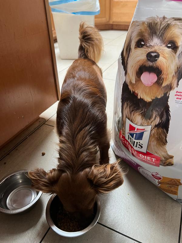 Enjoying his food