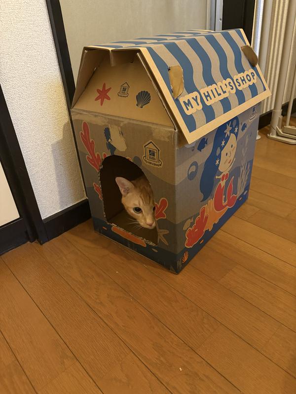 猫用〉c/d シーディー マルチケア コンフォート チキン&野菜入り