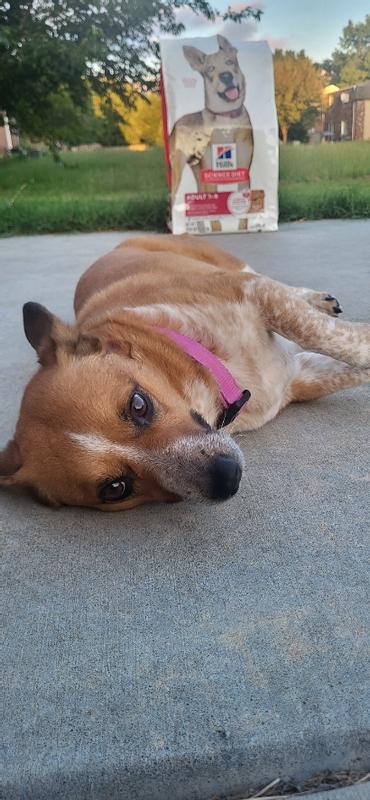 My sweet girl patiently waiting for dinner