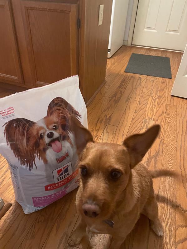 Trying something new