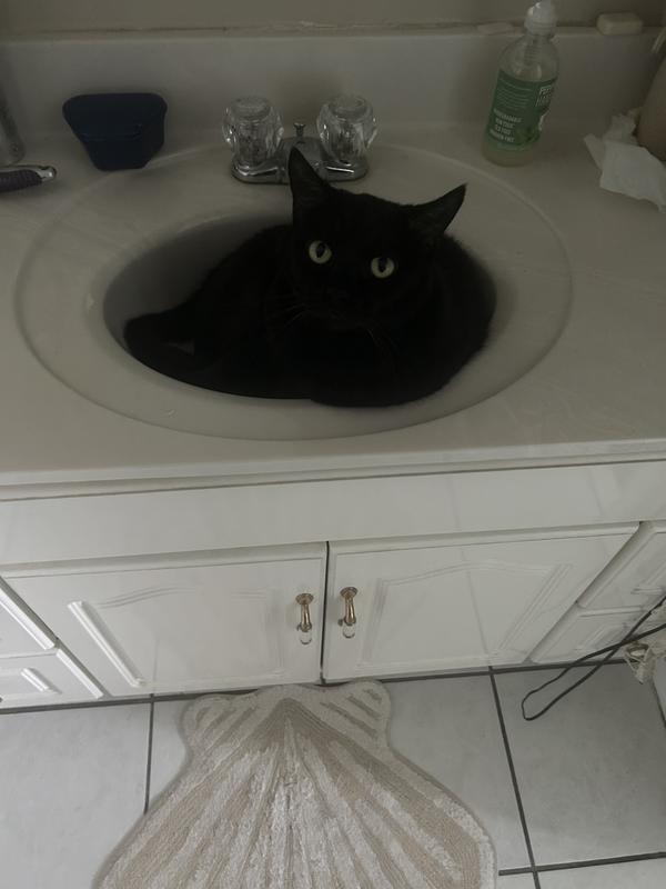 In the sink
