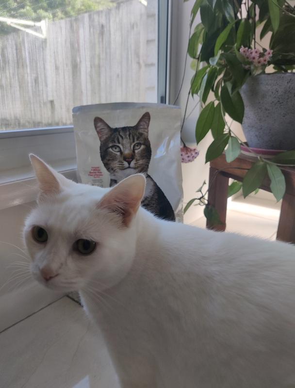 Eager to enjoy her HILLS SCIENCE DIET kibble