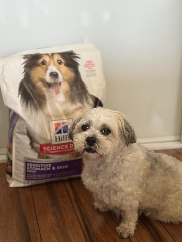 Hill's Science Dog Food