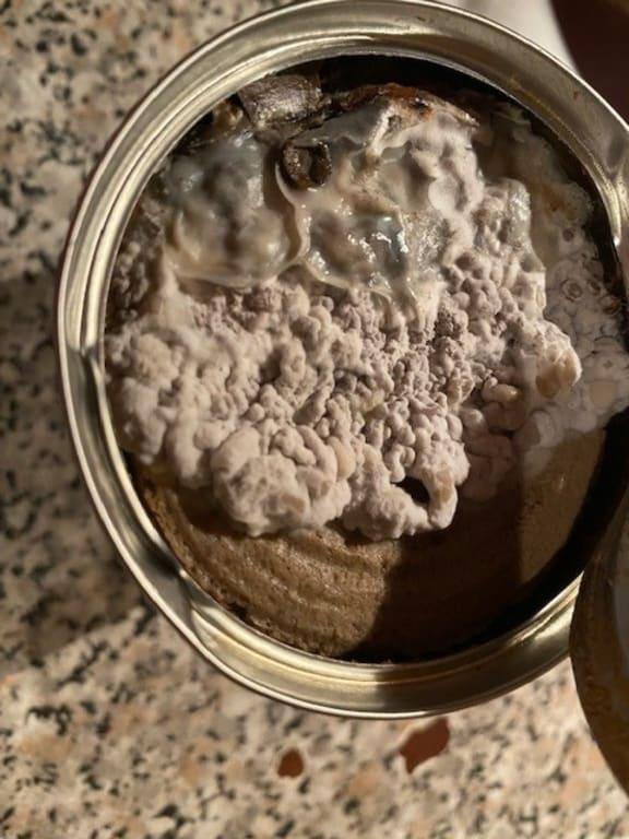 Mould