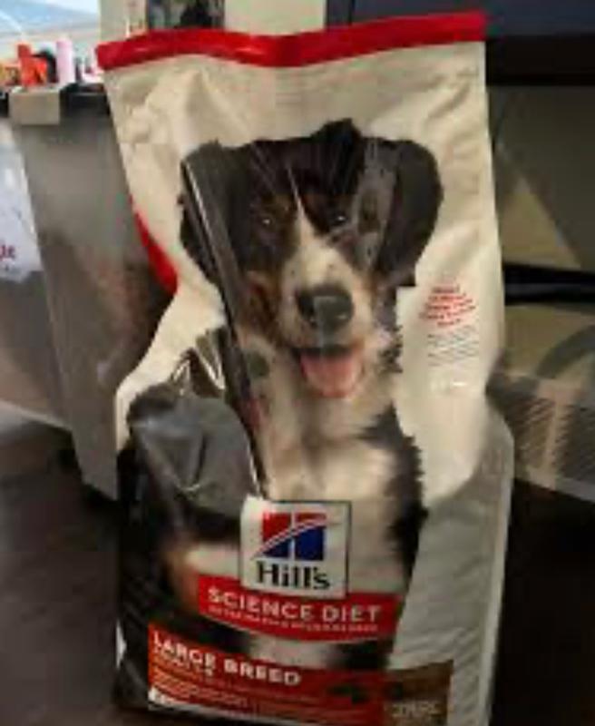 Dog food