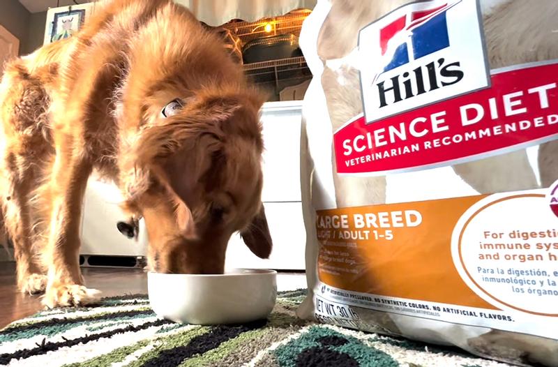 “My goodness! I can’t make this stuff up.. this really is the best dog food ever!!” - Belle, from NC