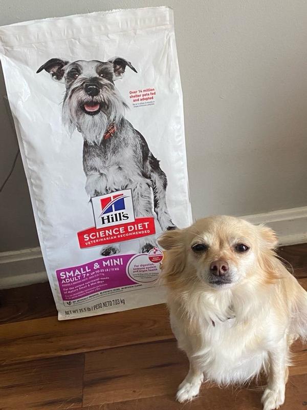 Bella loves her food