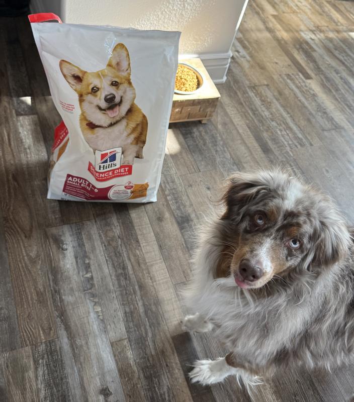 My dogs loved it!