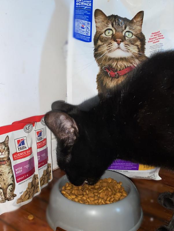 No time for photos… he just wants to eat!
