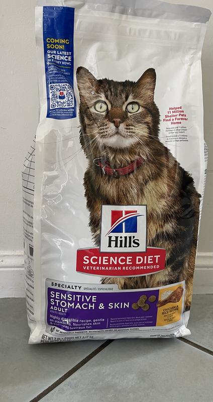 Cat food
