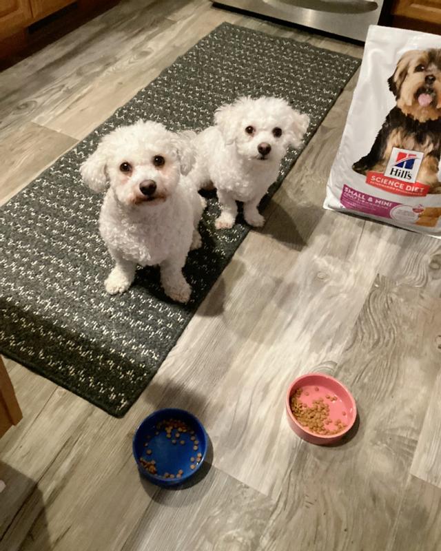 "Okay, okay, enough pictures, can we eat now