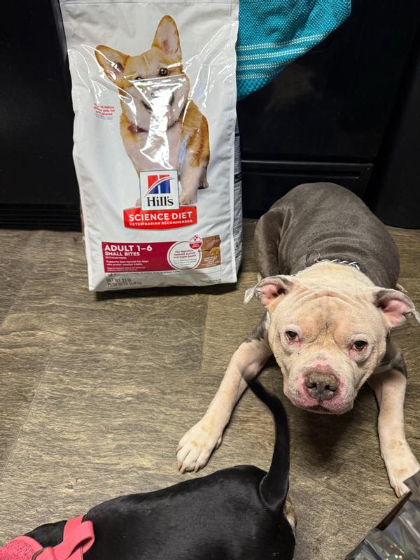 Hills science diet adult dog food