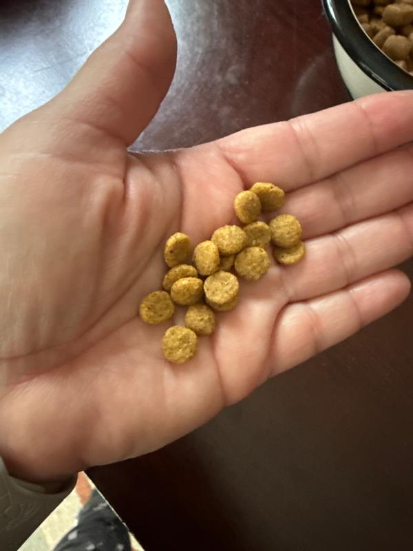 Adult light cat food