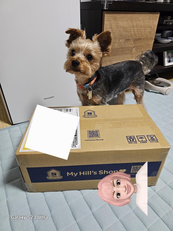 犬用〉オールスキンバリア 小粒 ドライ | ヒルズ プリスクリプション