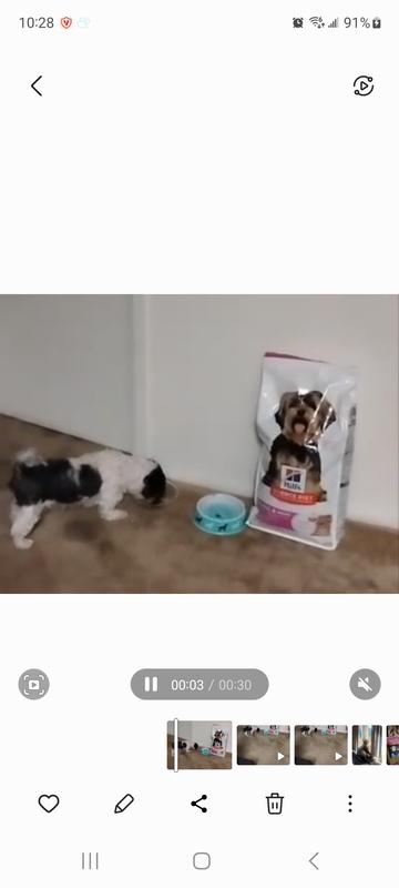 Butta loves her new food