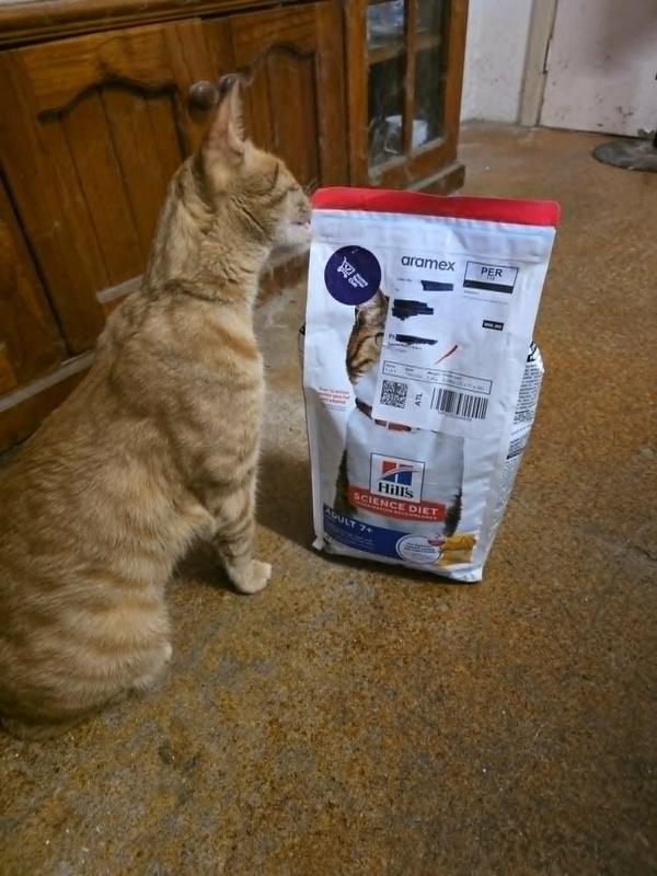 Henri checking out the product