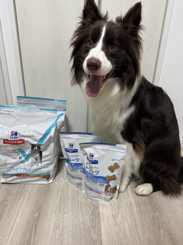 中・大型犬用 マルチケア＋デンタル 大粒 成犬 1歳以上 チキン