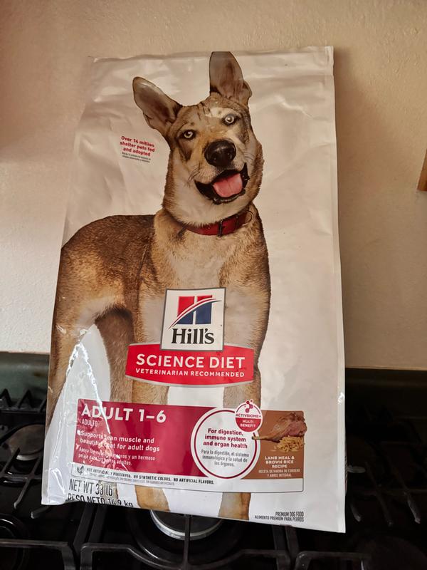Dog bag