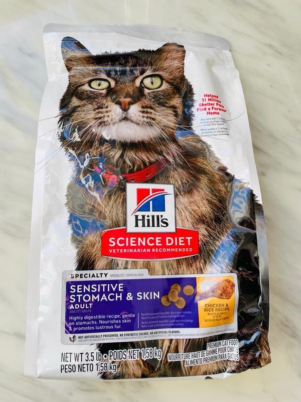 Cat food sensitive stomach vomiting best sale