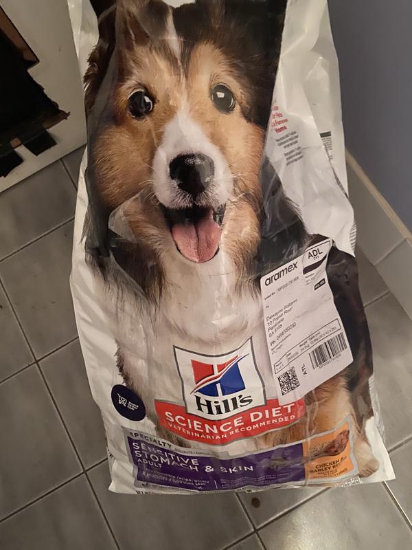 Dog Food