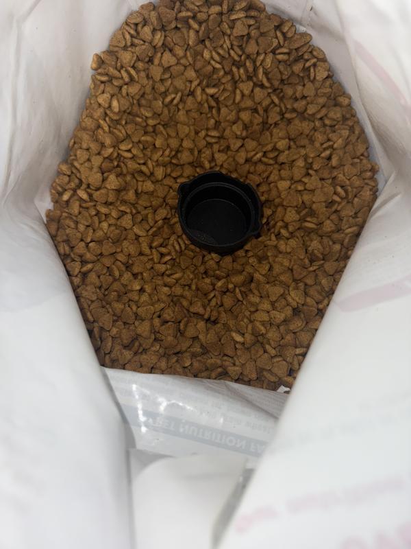 Food with 1/4 cup scoop