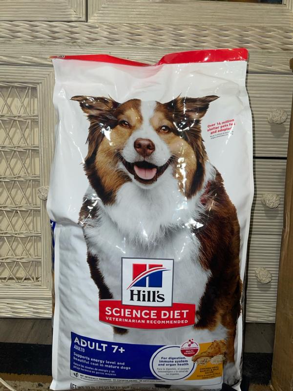 Photo of Bag Of Food