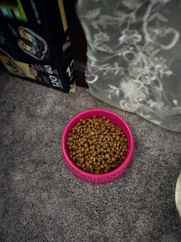 Small kibble