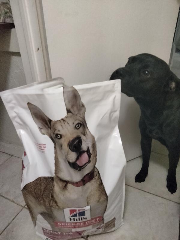Hills Science Diet dog food