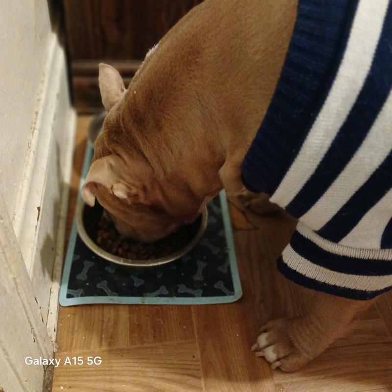 Absolutely amazing food