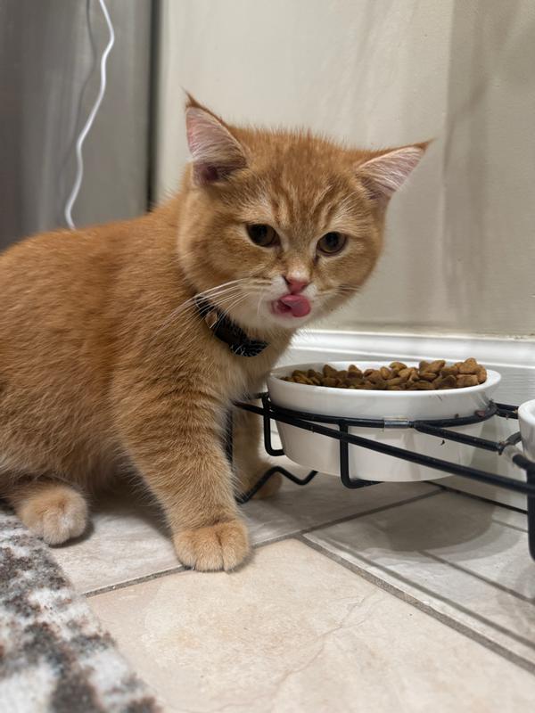 Yummy!